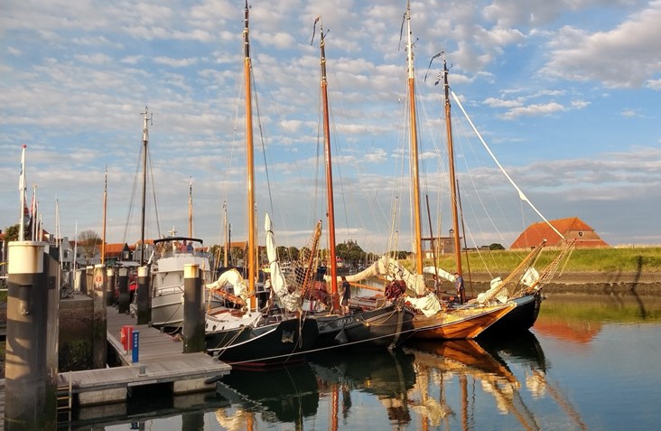 Afbeelding 446