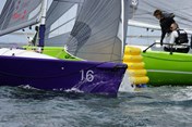 Afbeelding 445
