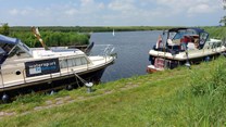 Afbeelding 462