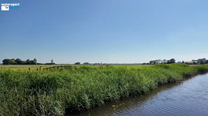 Scherm&#173;afbeelding 2024-07-03 om 05.20.28