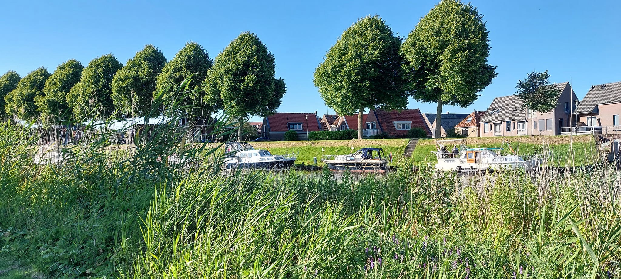 Passanten betalen liever bij de havenmeester dan online