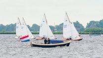 Afbeelding 635