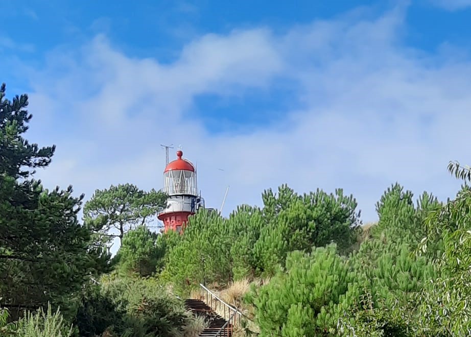 Rijkswaterstaat verduurzaamt vuurtorenverlichting