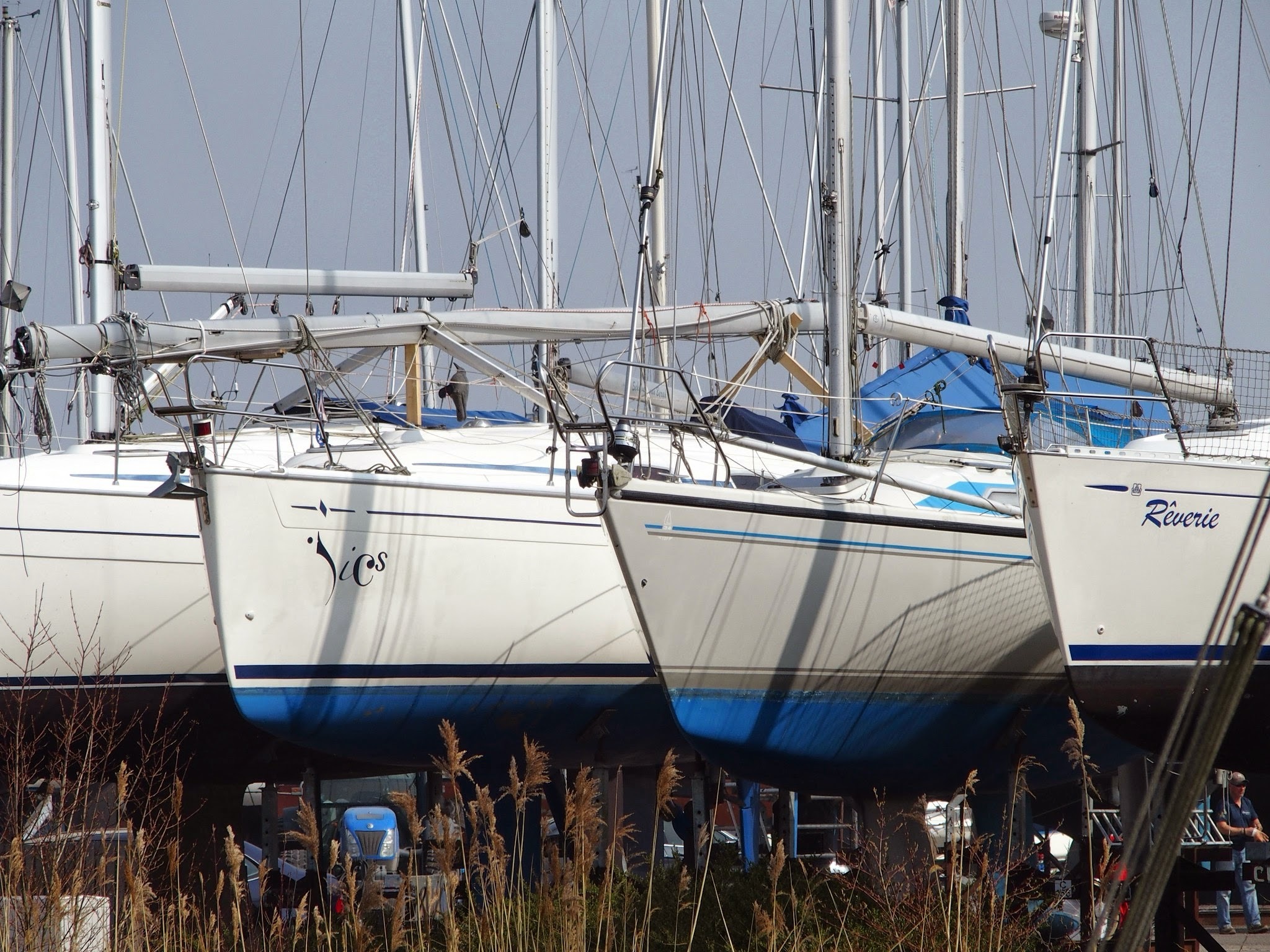 Dievengilde actief op jachthavens