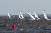 Afbeelding 12