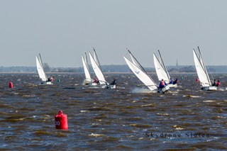 Afbeelding 12