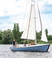 Afbeelding 7