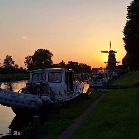 Afbeelding 3