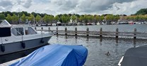 Afbeelding 8