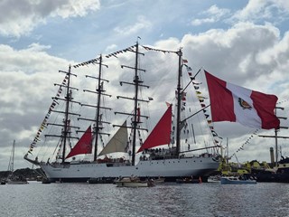 Afbeelding 2