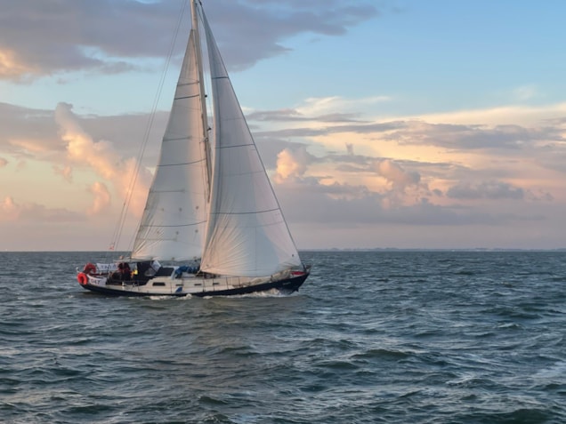 Afbeelding 1