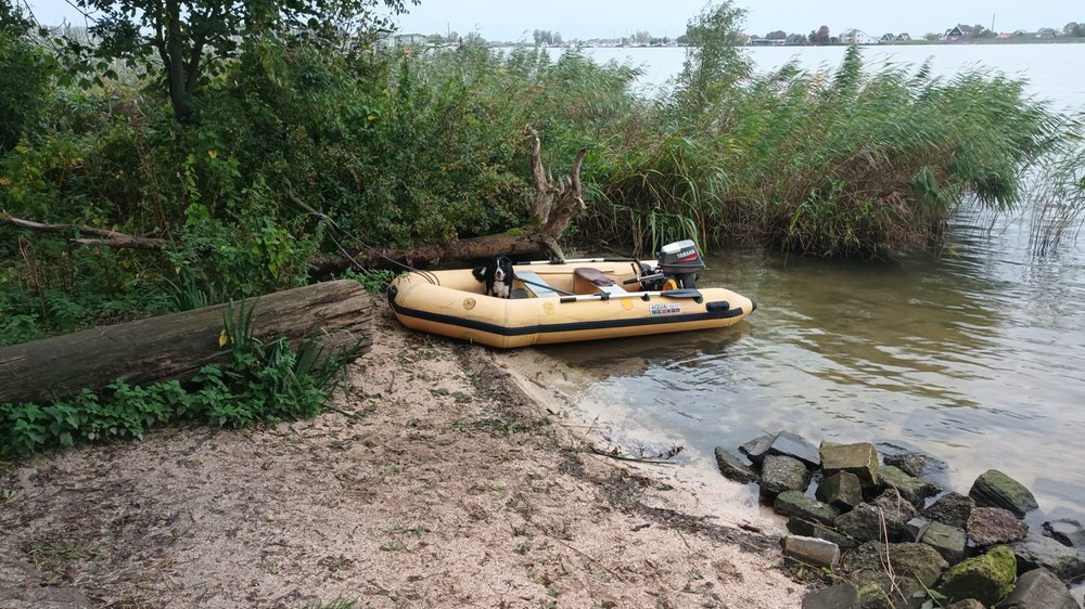 Column Evert Stel...Hondje uitlaten