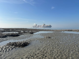 SchelderapportheaderTimGrandjean