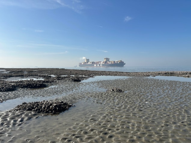 SchelderapportheaderTimGrandjean