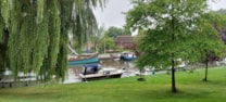 Afbeelding 137