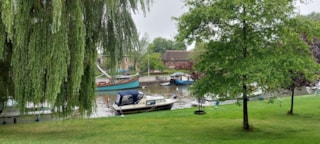 Afbeelding 137