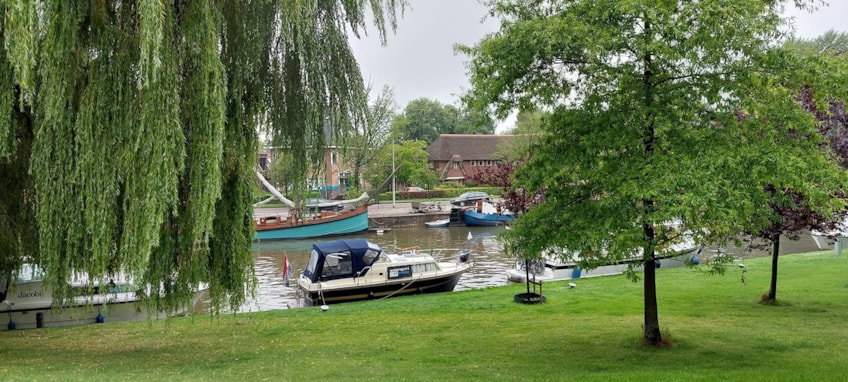 Afbeelding 137