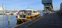 Afbeelding 7