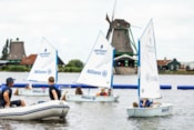 Afbeelding 24