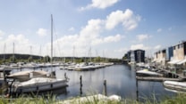 Afbeelding 25