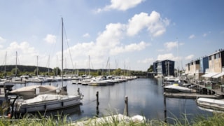 Afbeelding 25