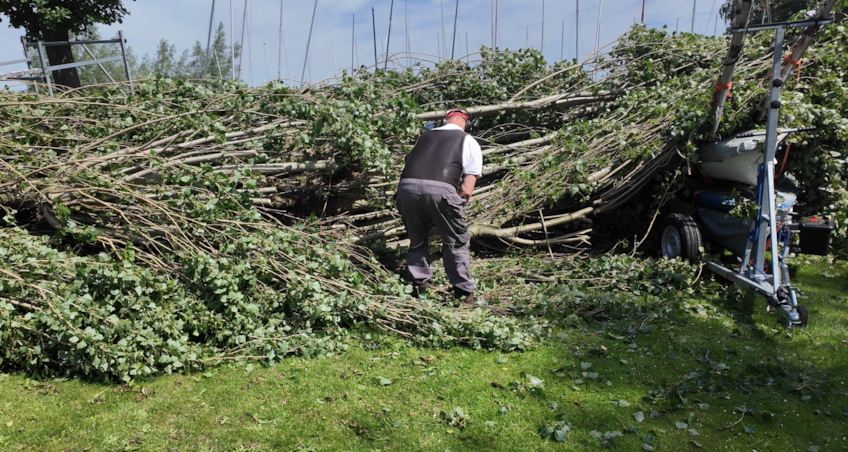Scherm­afbeelding 2026-06-20 om 22.20.15